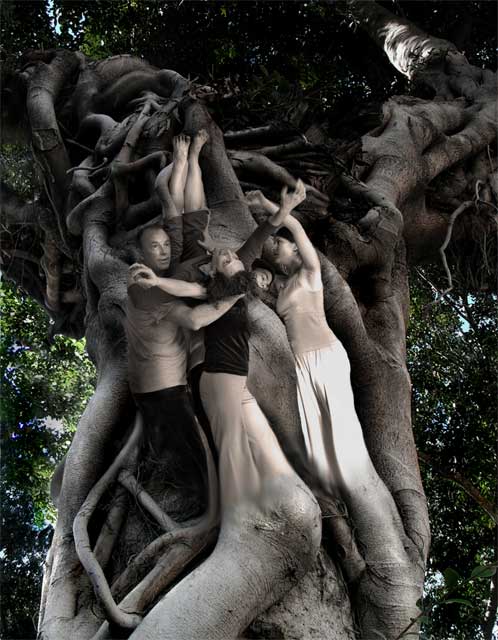 CI Tree Spirits Contact Improvisation Art and photography [] - $30.00